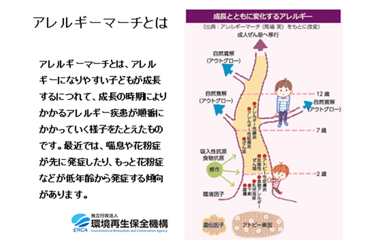 出典：独立行政法人 環境再生保全機構